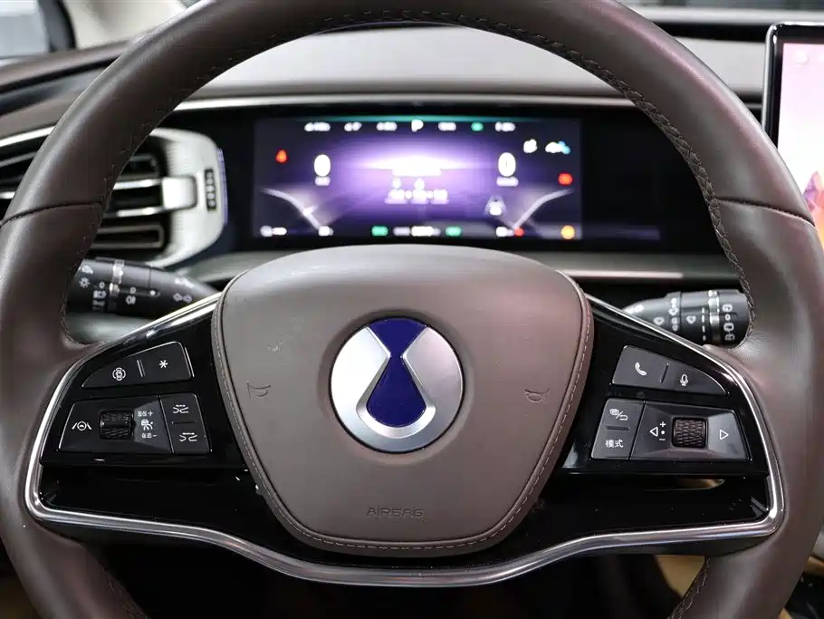 Denza Denza D9 — миниатюра 10