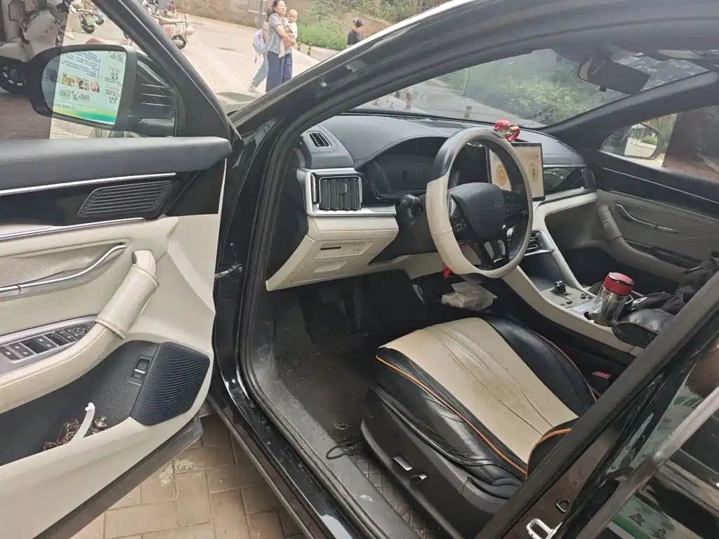BYD PLUS New Energy — миниатюра 17