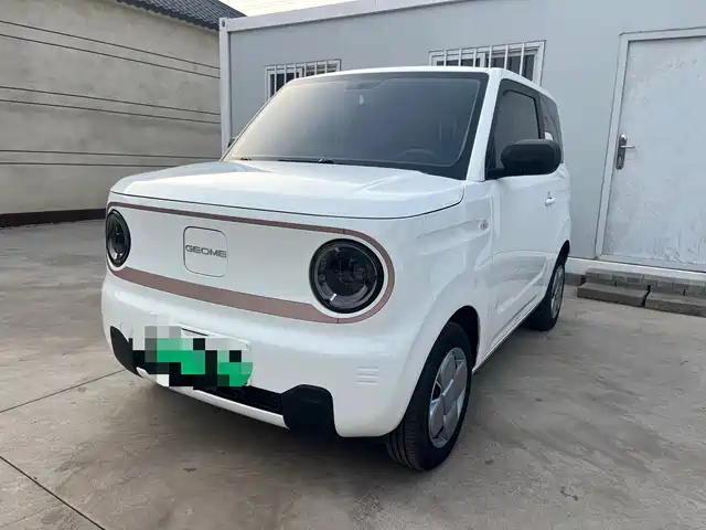 2024 Geely LC (Panda)