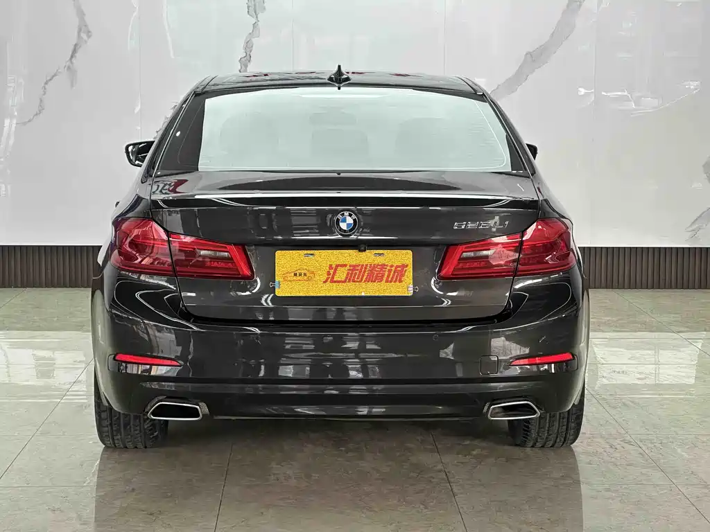 BMW 5 Series 5 2018 528Li