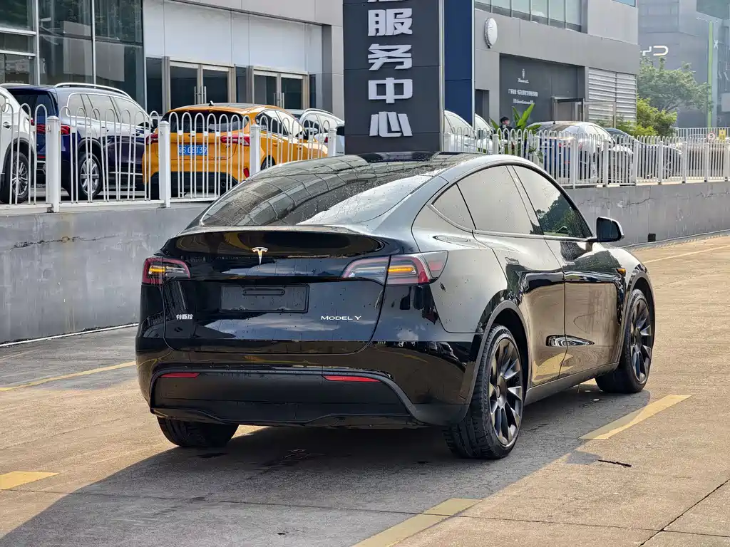 Tesla Model Y — миниатюра 7