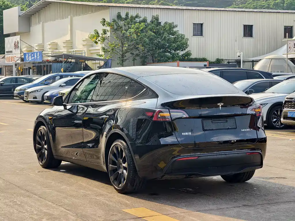 Tesla Model Y — миниатюра 5