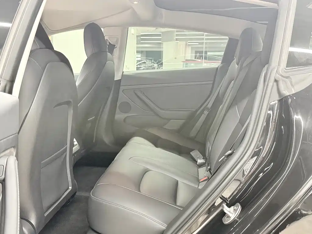 Tesla Model 3 — миниатюра 7