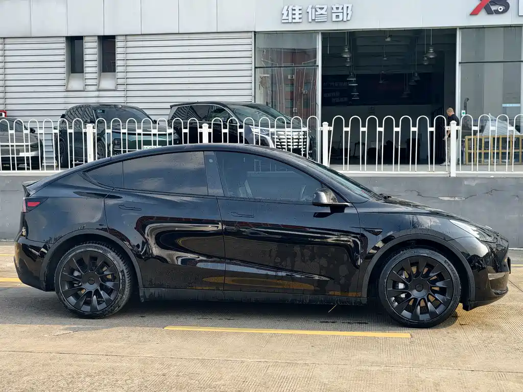 Tesla Model Y — миниатюра 4