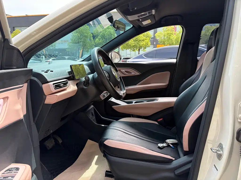 BYD Seagull 2024 305km