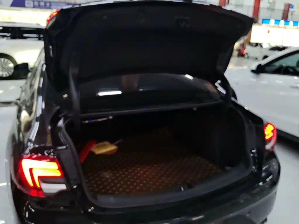 Buick Regal — миниатюра 19