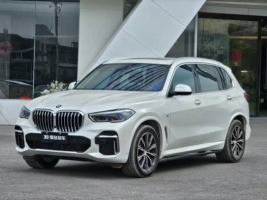 BMW X5 — миниатюра 13
