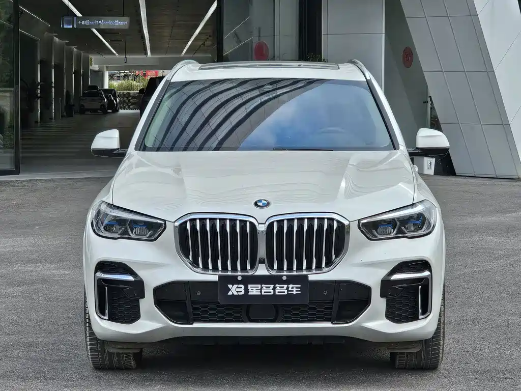 BMW X5 — миниатюра 2