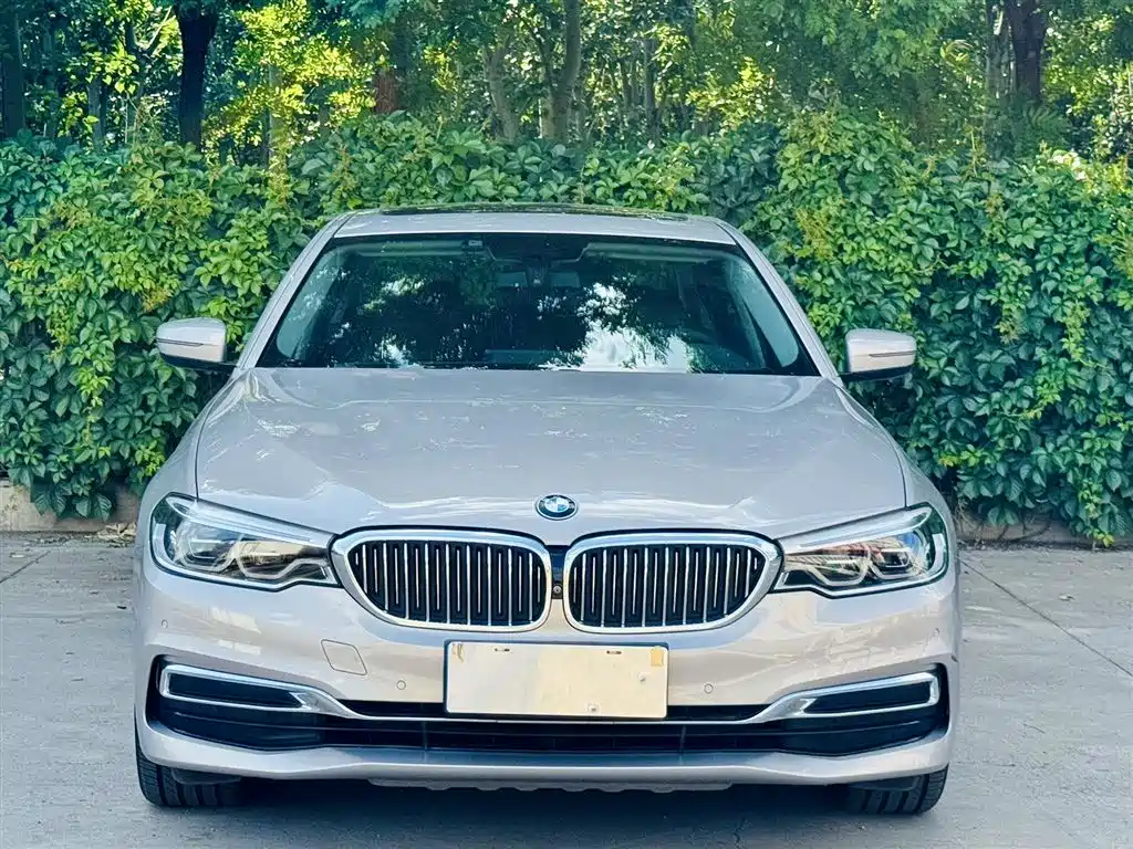 BMW 5 Series 5 2019 530Li Premium Luxury