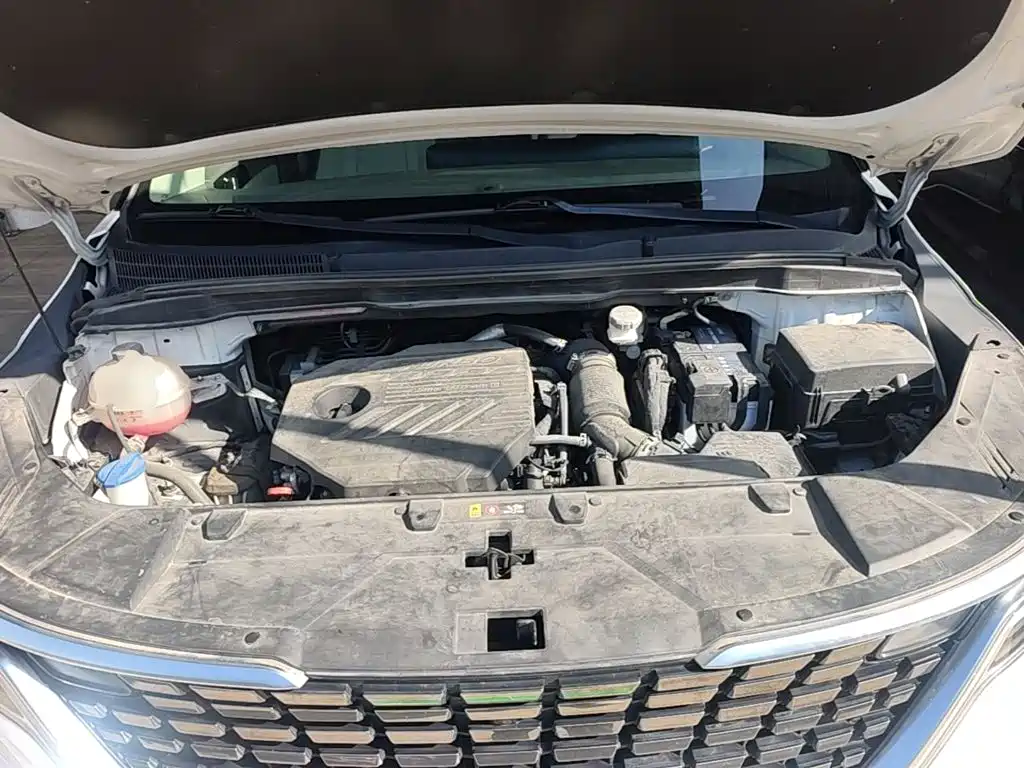 Kia Carnival — миниатюра 20