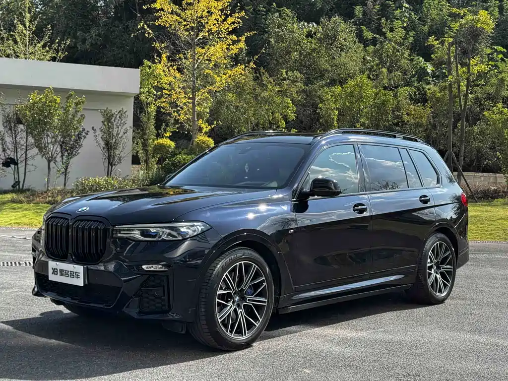 BMW X7 — миниатюра 12