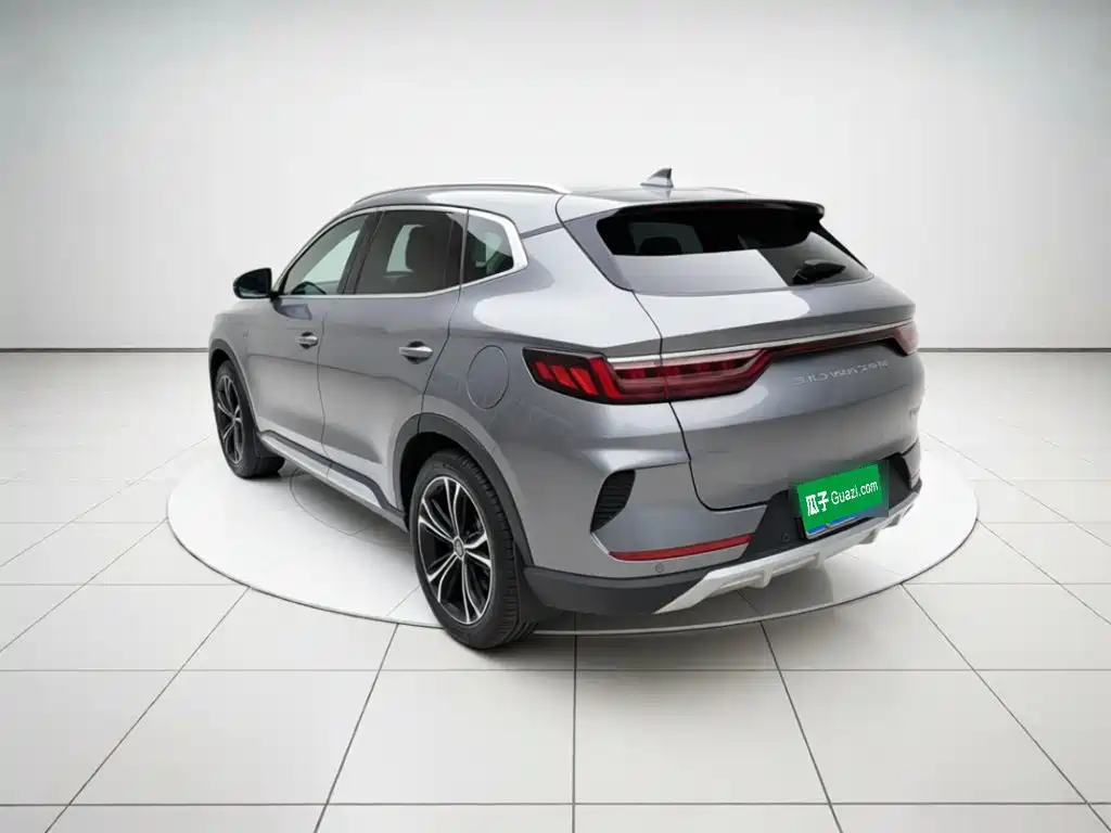 BYD PLUS — миниатюра 4