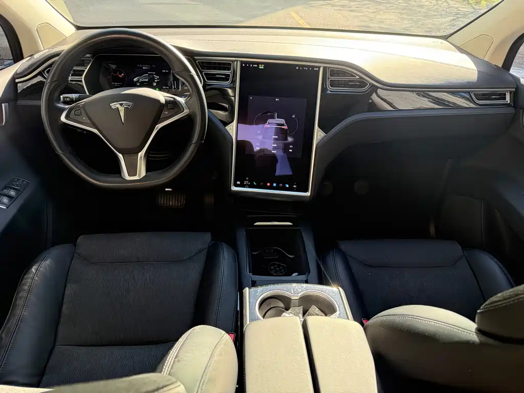Tesla Model X — миниатюра 12