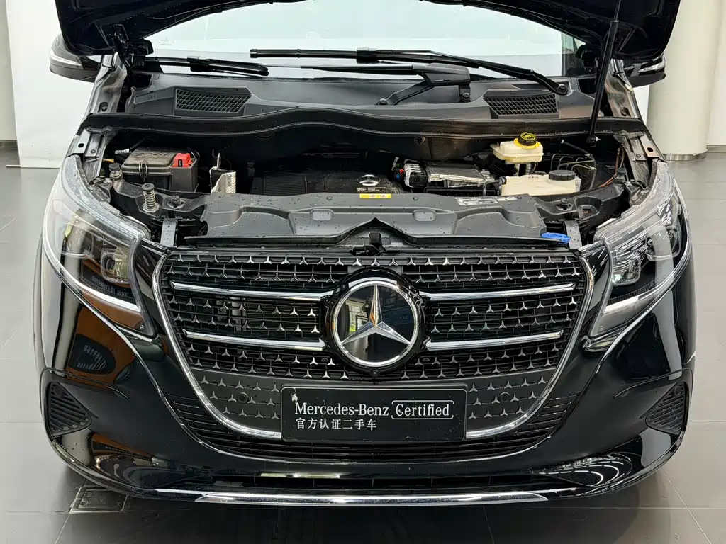 Mercedes-Benz V-Class V 2024 V 300 L Luxury