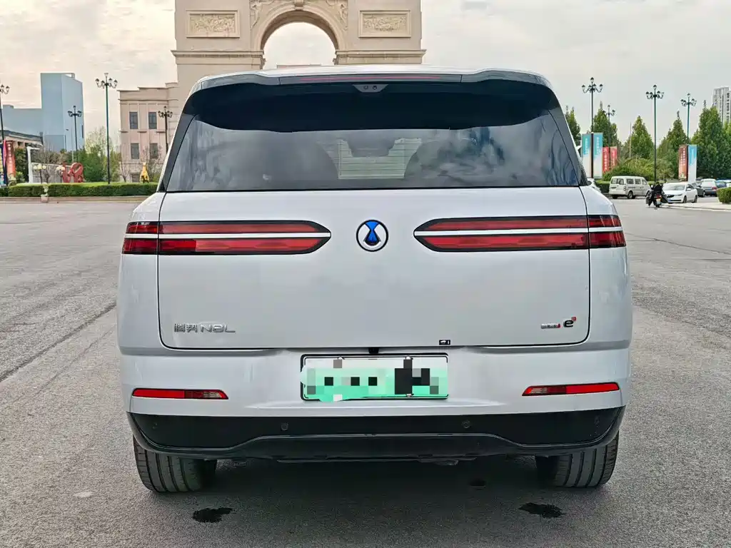 Denza Denza N8L — миниатюра 5