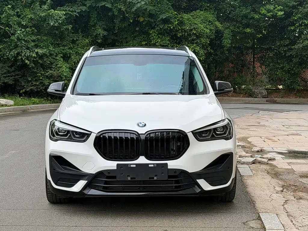 BMW X1 — миниатюра 2
