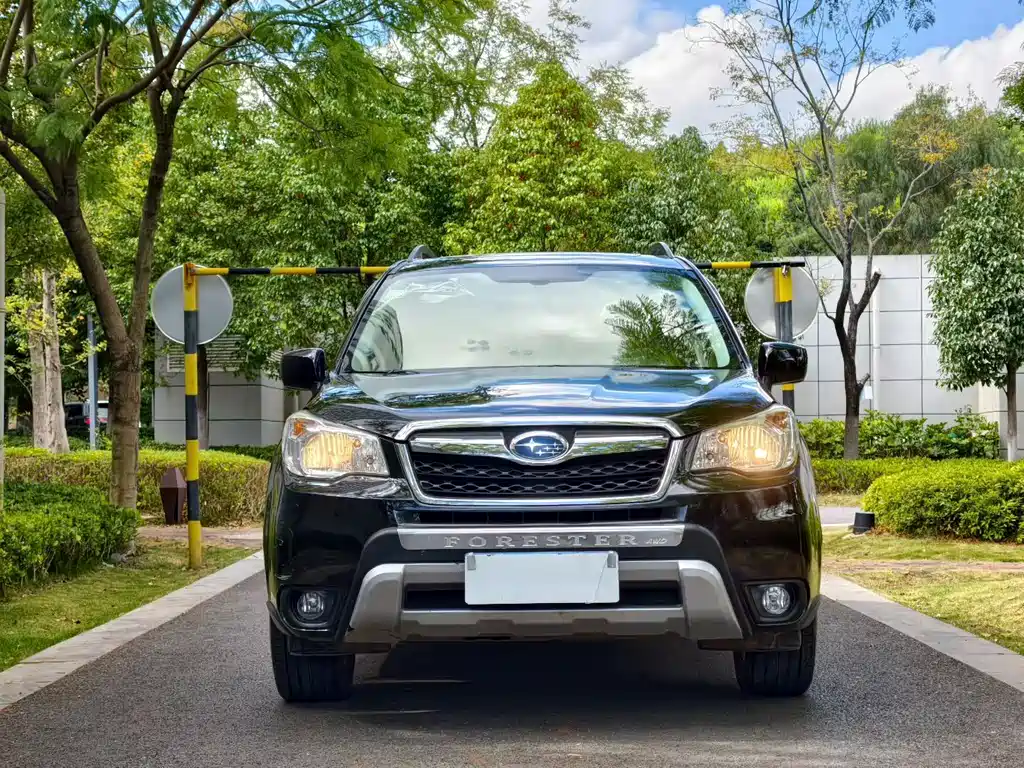 Subaru Forester — миниатюра 2
