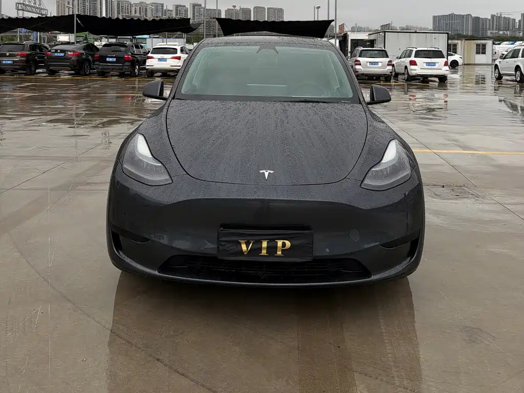 Tesla Model Y — миниатюра 2
