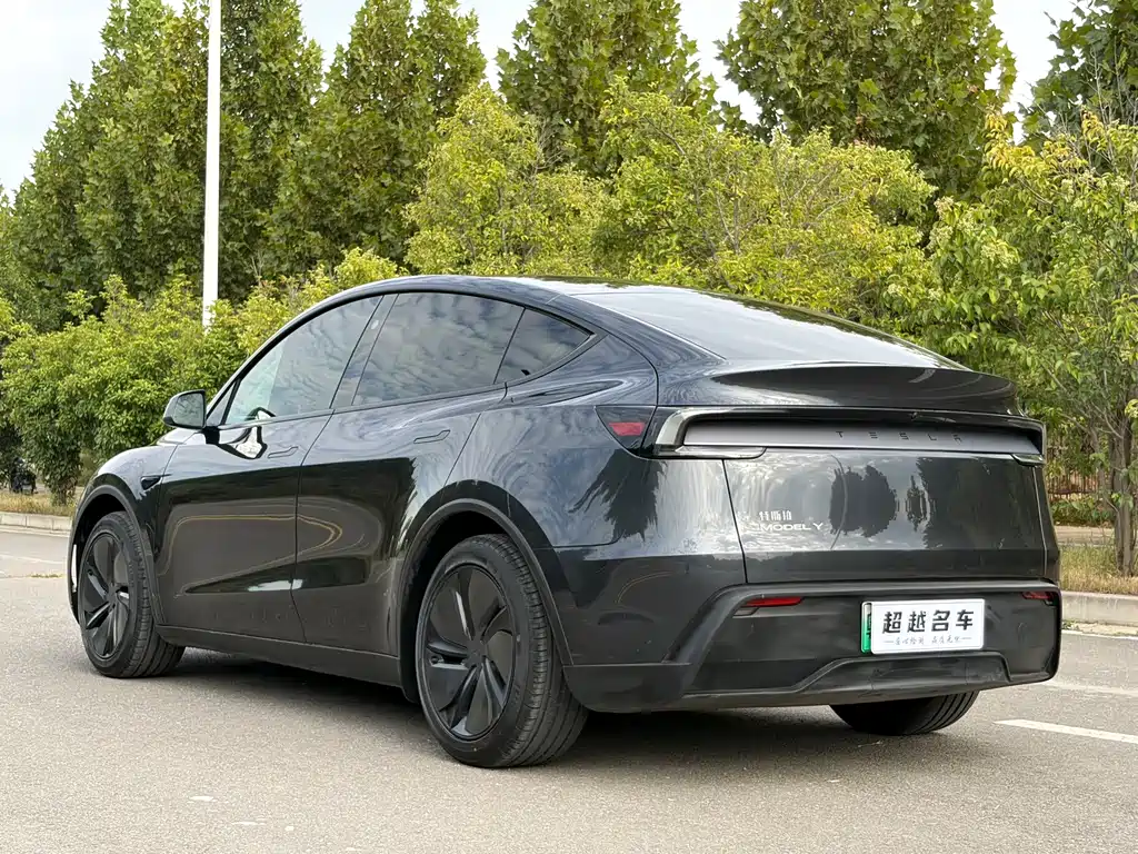 Tesla Model Y — миниатюра 15