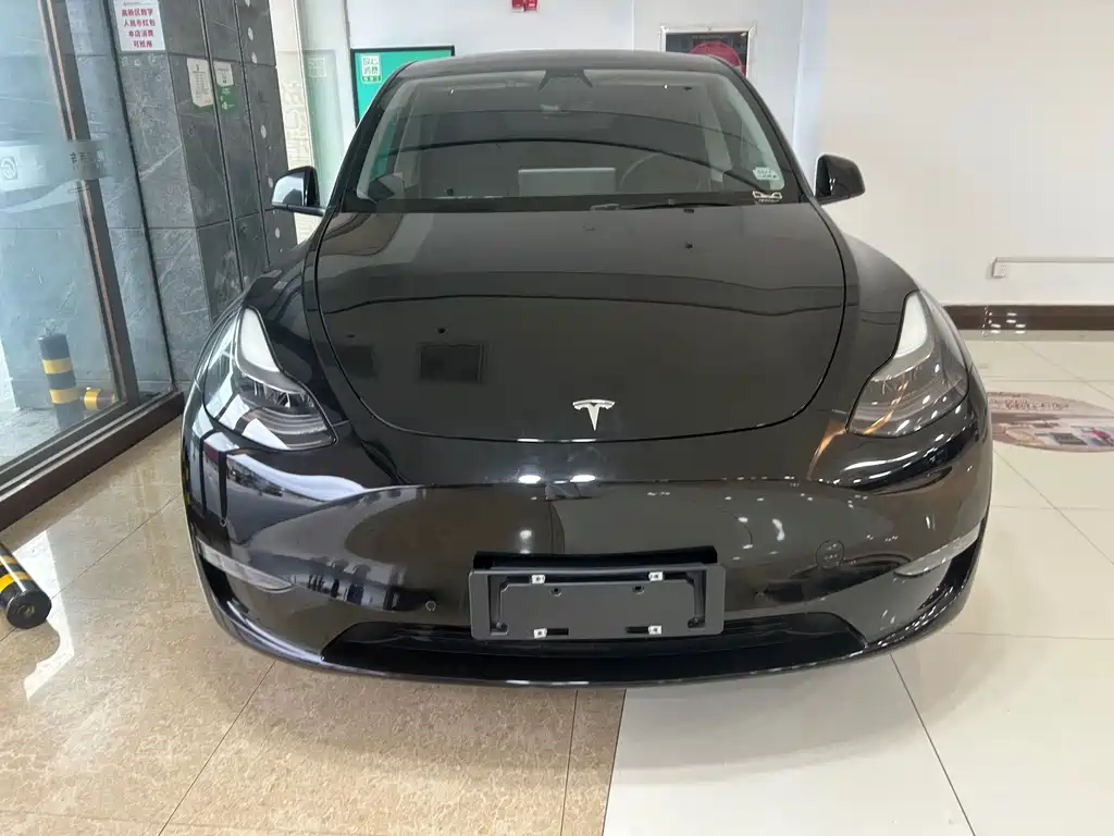 Tesla Model Y — миниатюра 2