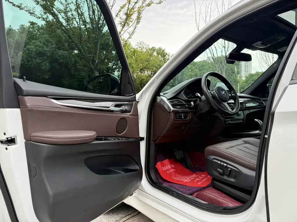 BMW X5 (Import) — миниатюра 10