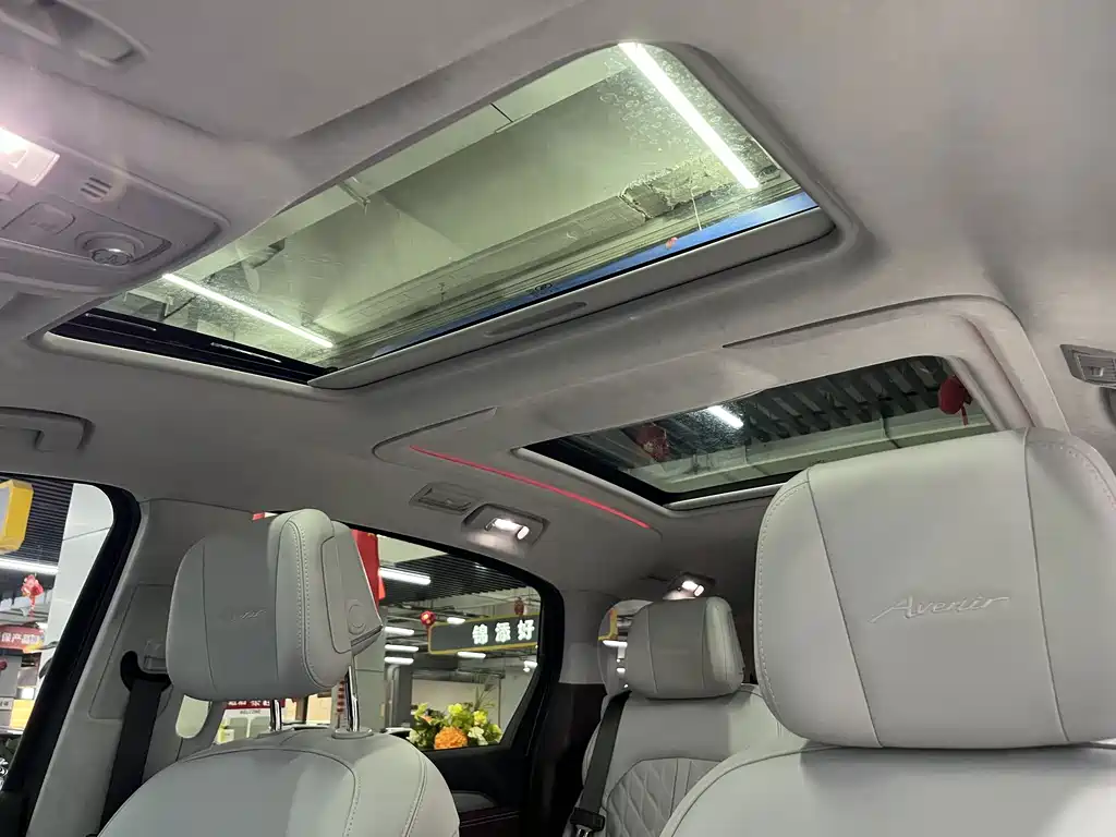Buick GL8 — миниатюра 14