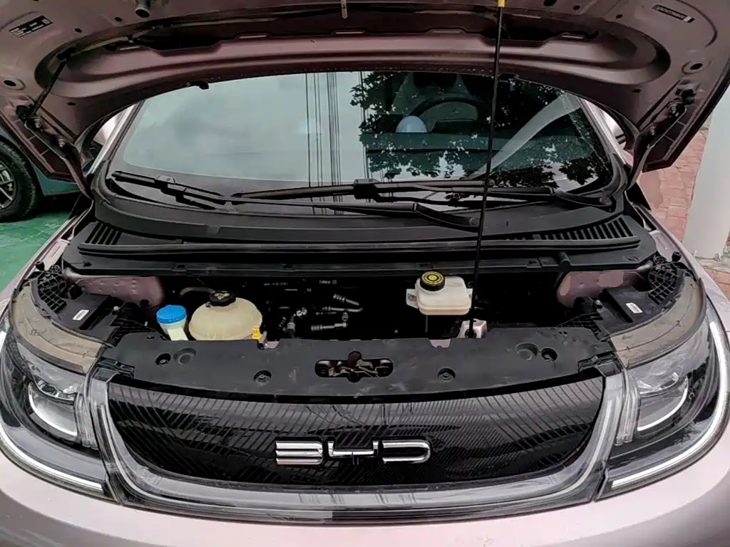 BYD Dolphin — миниатюра 20