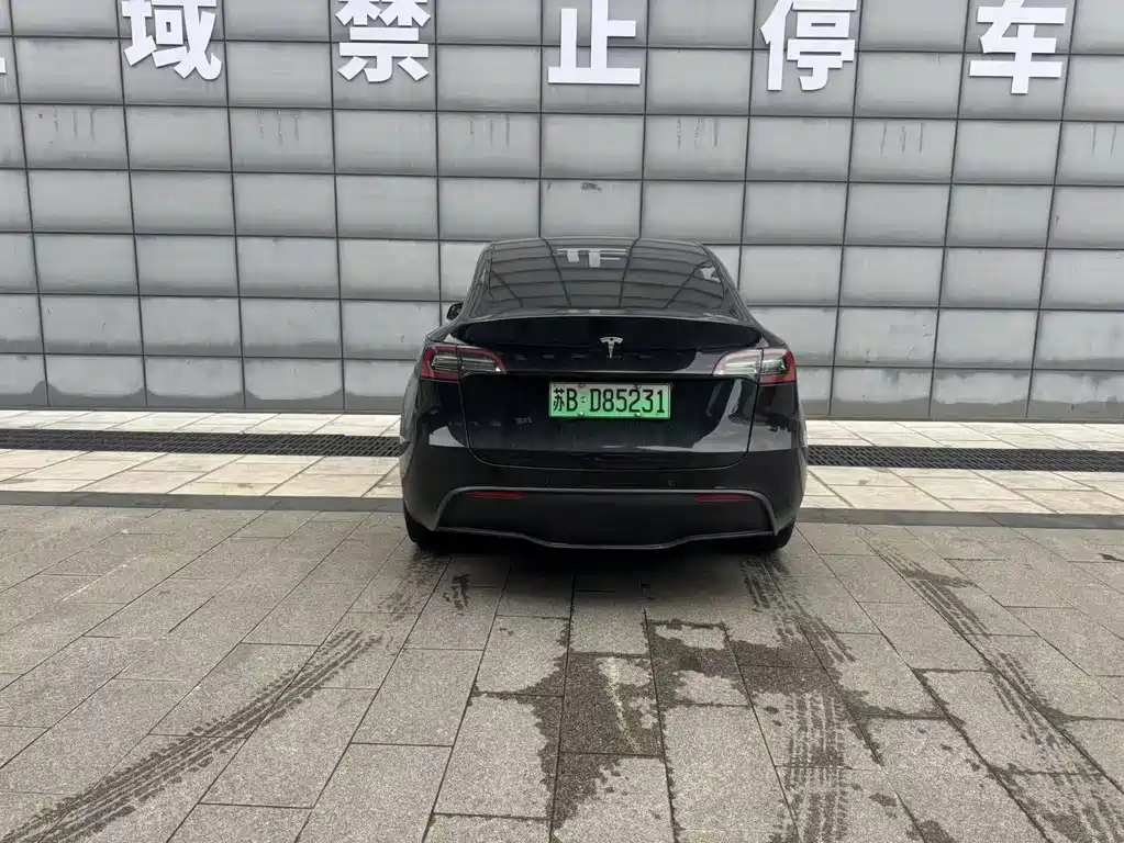 Tesla Model Y — миниатюра 8