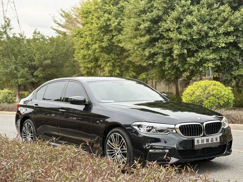 BMW 5 Series 5 2018 530Li Lead M Sport