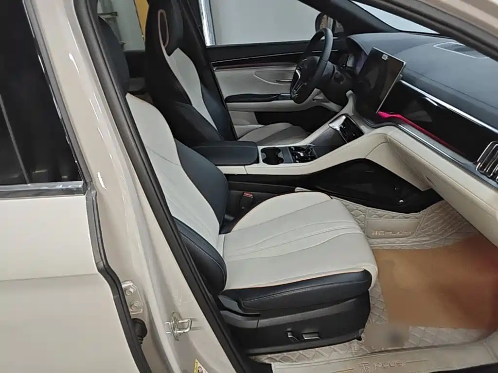 BYD PLUS New Energy — миниатюра 25