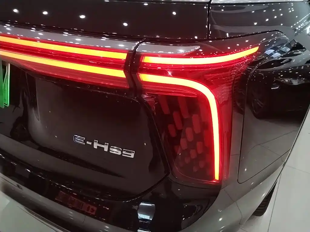 Hongqi Hongqi E-HS9 — миниатюра 8