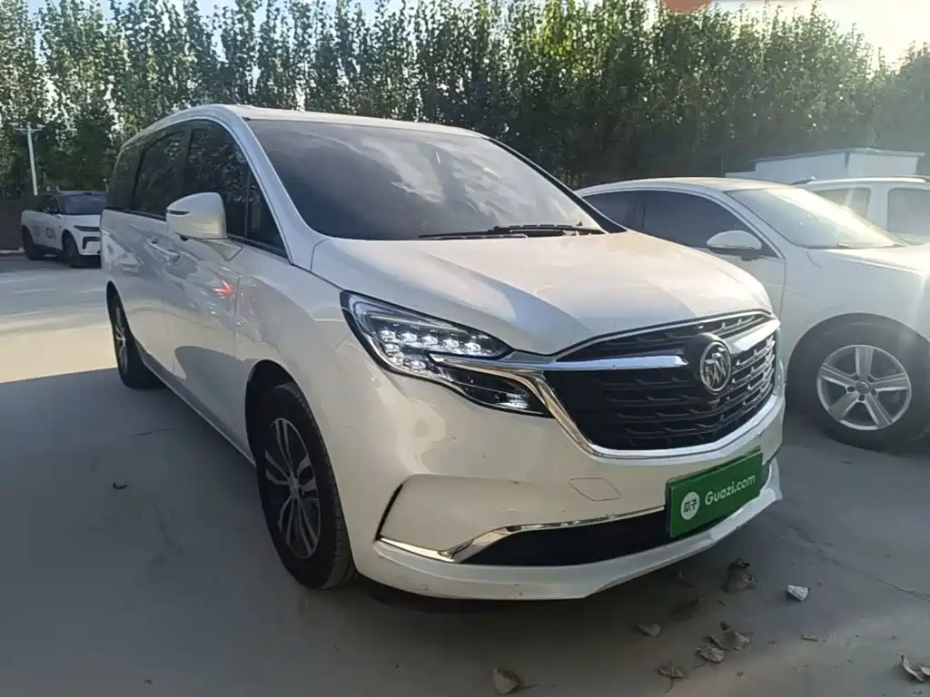 Buick GL8 — миниатюра 4
