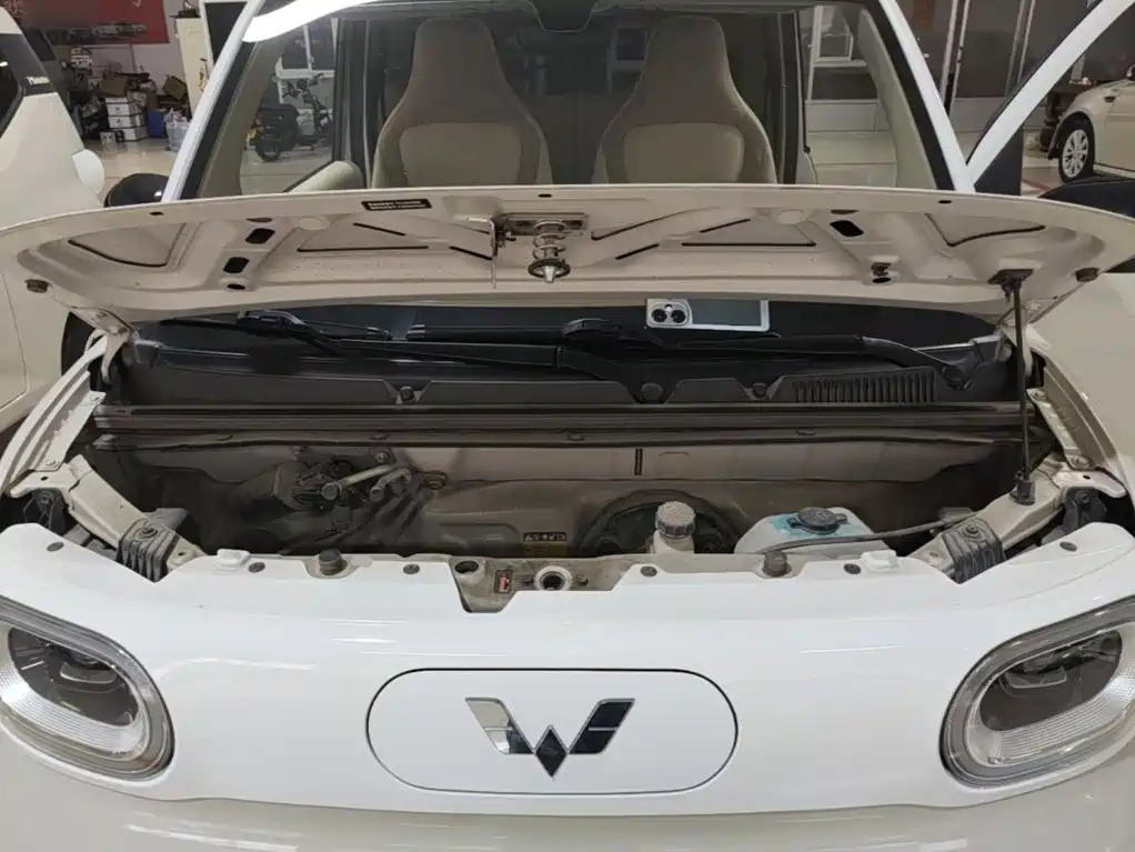 Wuling MINIEV — миниатюра 20