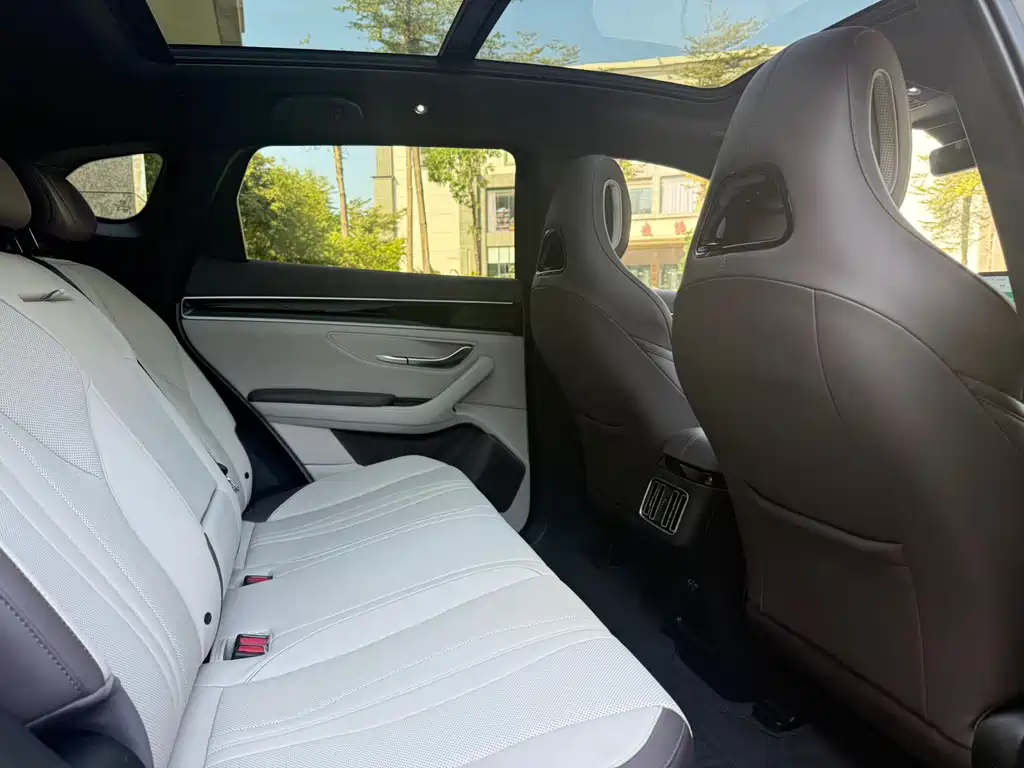 BYD SONGJIANG NEW ENERGY