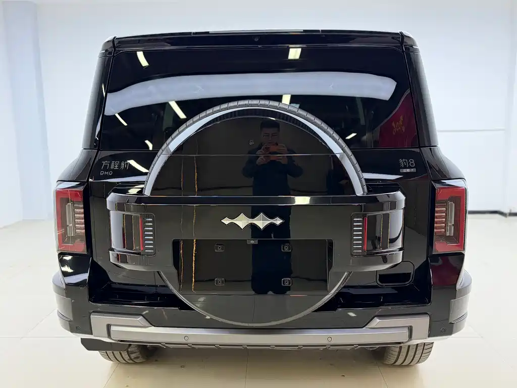 FANG CHENG BAO LEOPARD 8