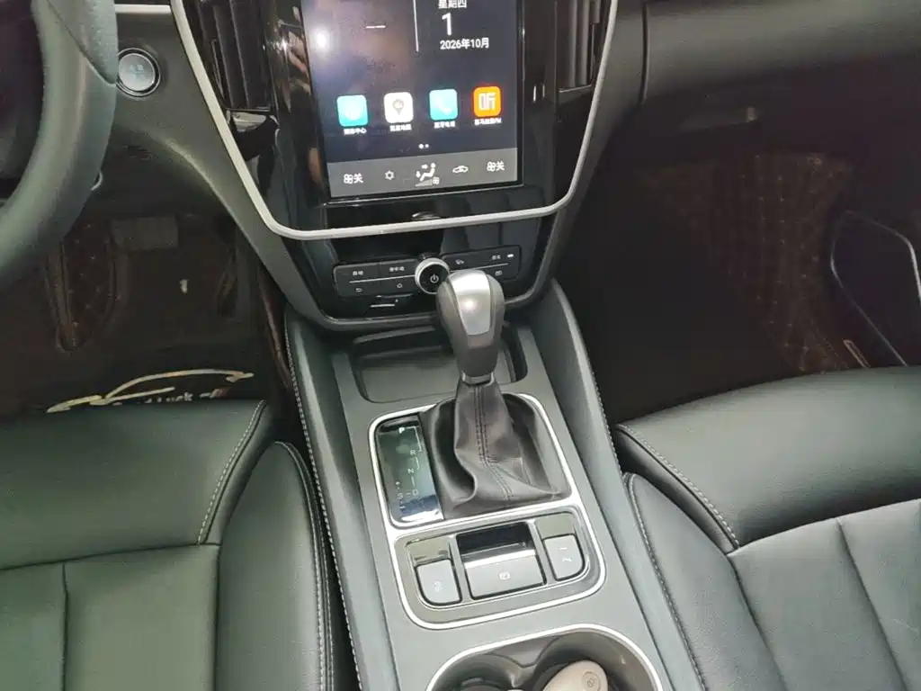 BYD MAX — миниатюра 14