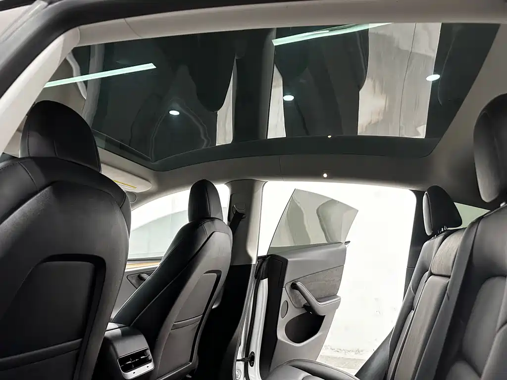 Tesla Model Y — миниатюра 10
