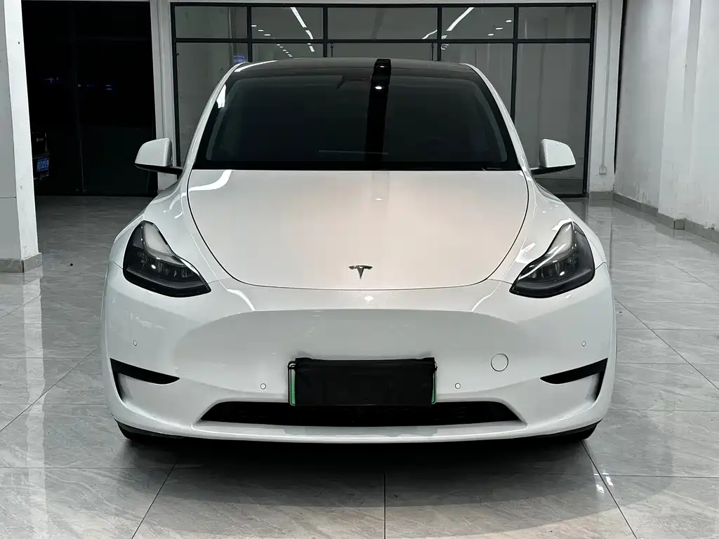 Tesla Model Y — миниатюра 2