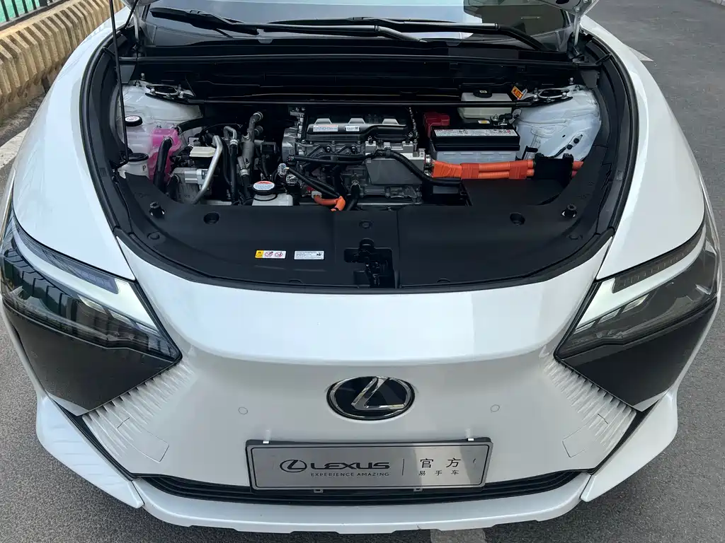 Lexus RZ — миниатюра 2