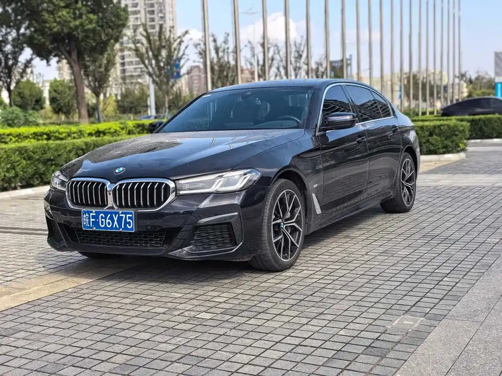 BMW 5 Series 5 2023 530Li Premium M Sport
