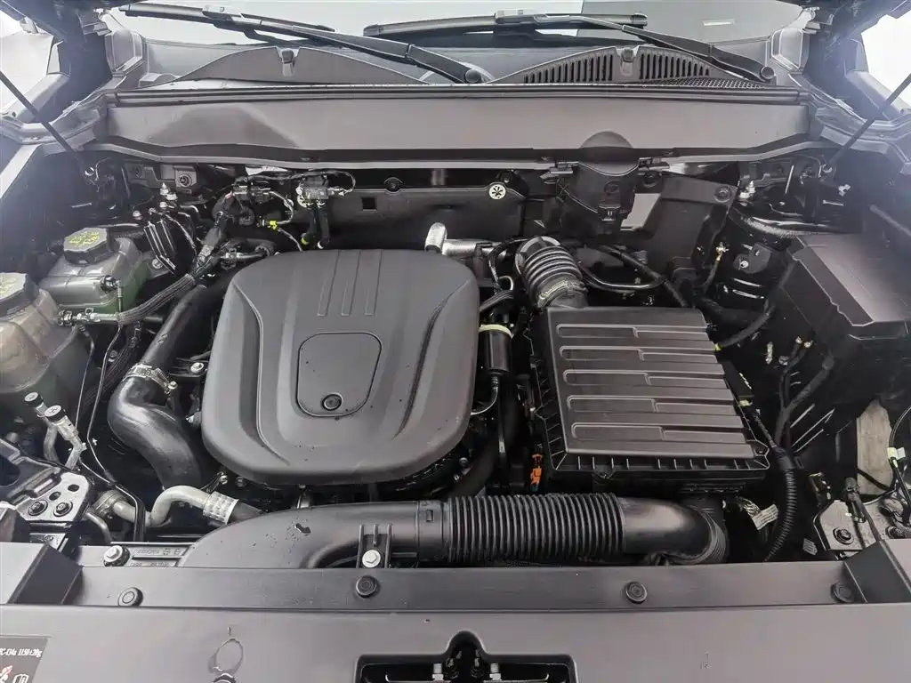 HAVAL RAPTORS NEW ENERGY