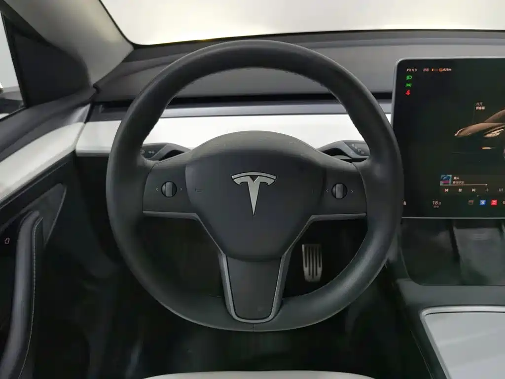 Tesla Model Y — миниатюра 11