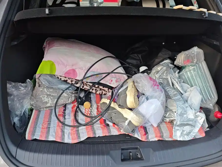 BYD SONGJIANG NEW ENERGY