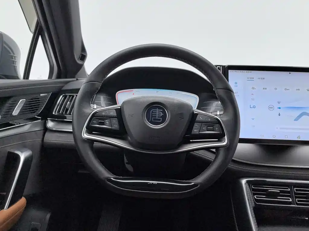 BYD Tang New Energy — миниатюра 11