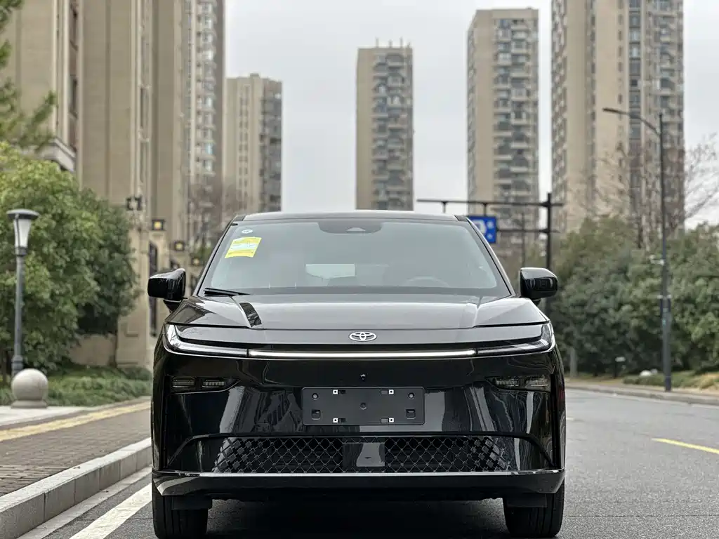 TOYOTA PLATINUM WISDOM 3X