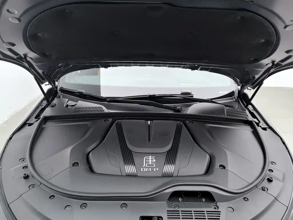 BYD Tang New Energy — миниатюра 6