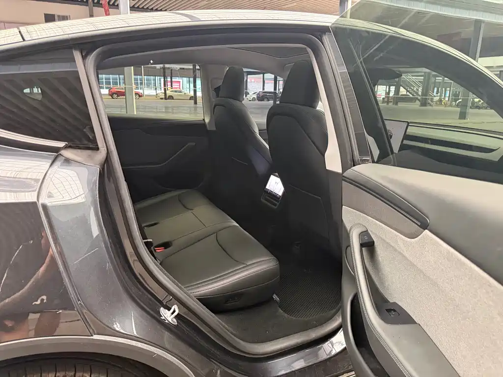 Tesla Model Y — миниатюра 6