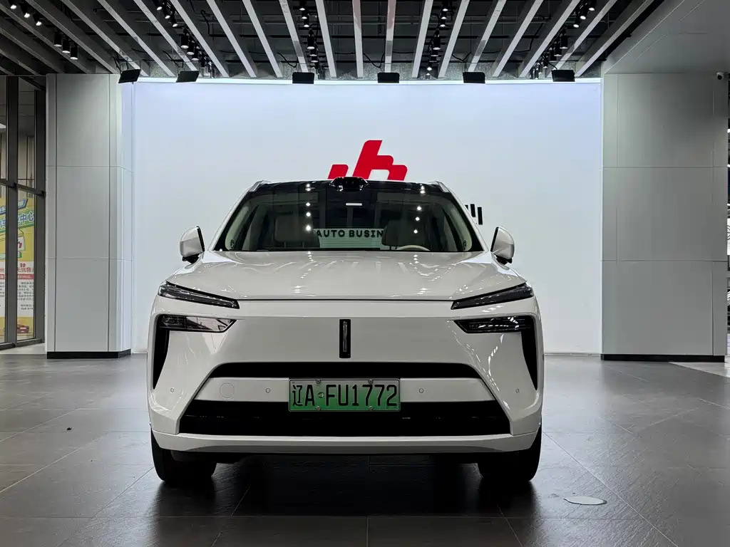 WEI PAI WEI BRAND BLUE MOUNTAIN