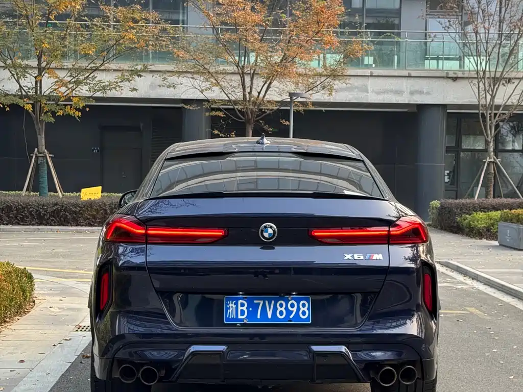 BMW X6 M