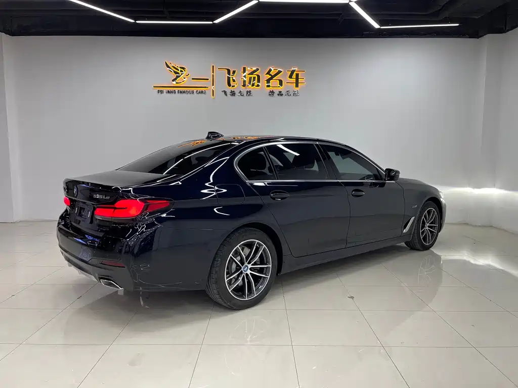 BMW 5 SERIES NEW ENERGY